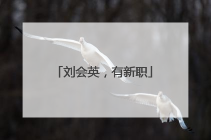刘会英，有新职
