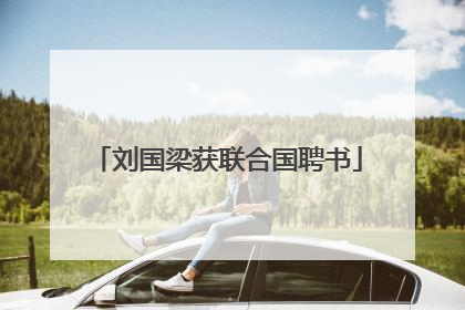 刘国梁获联合国聘书