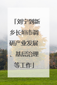 刘宁到新乡长垣市调研产业发展、基层治理等工作