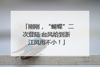 刚刚，“蝴蝶”二次登陆 台风给到浙江风雨不小！