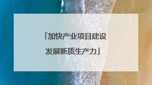 加快产业项目建设 发展新质生产力
