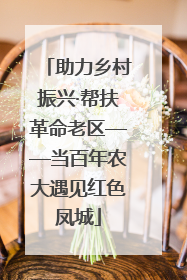 助力乡村振兴·帮扶革命老区——当百年农大遇见红色凤城