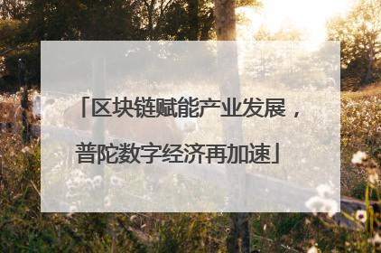 区块链赋能产业发展，普陀数字经济再加速