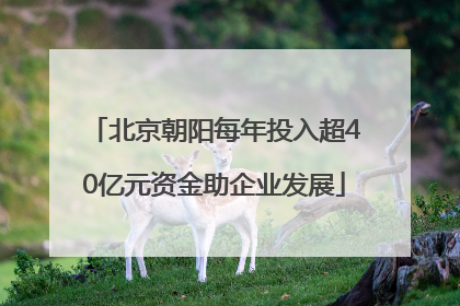 北京朝阳每年投入超40亿元资金助企业发展