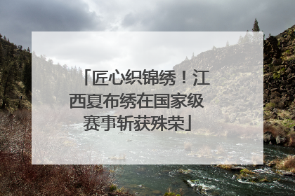 匠心织锦绣！江西夏布绣在国家级赛事斩获殊荣
