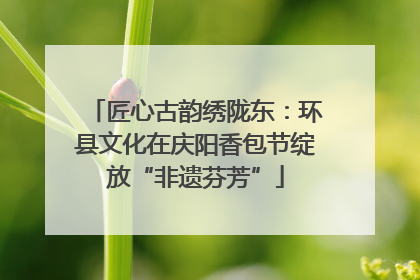 匠心古韵绣陇东：环县文化在庆阳香包节绽放“非遗芬芳”