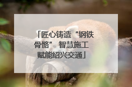 匠心铸造“钢铁骨骼” 智慧施工赋能绍兴交通