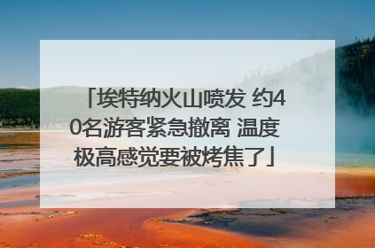 埃特纳火山喷发 约40名游客紧急撤离 温度极高感觉要被烤焦了