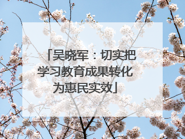 吴晓军：切实把学习教育成果转化为惠民实效