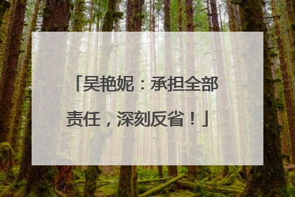 吴艳妮：承担全部责任，深刻反省！