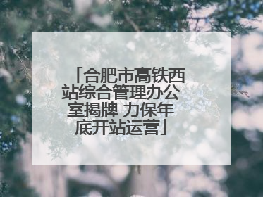 合肥市高铁西站综合管理办公室揭牌 力保年底开站运营