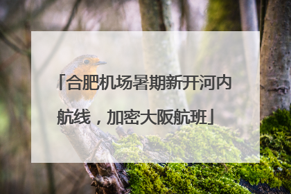 合肥机场暑期新开河内航线，加密大阪航班