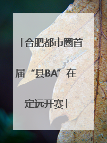 合肥都市圈首届“县BA”在定远开赛