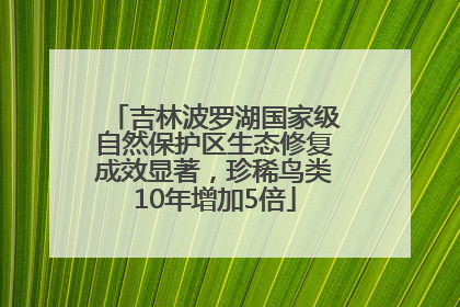 吉林波罗湖国家级自然保护区生态修复成效显著，珍稀鸟类10年增加5倍