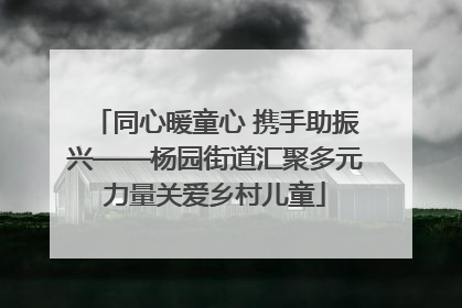 同心暖童心 携手助振兴——杨园街道汇聚多元力量关爱乡村儿童