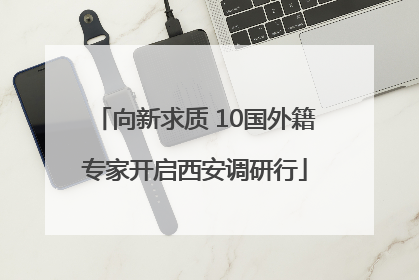 向新求质 10国外籍专家开启西安调研行