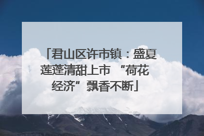 君山区许市镇：盛夏莲蓬清甜上市 “荷花经济”飘香不断