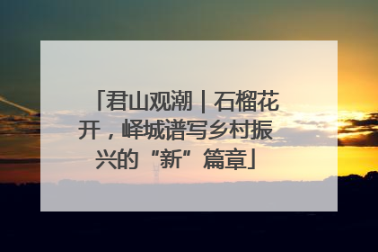 君山观潮｜石榴花开，峄城谱写乡村振兴的“新”篇章