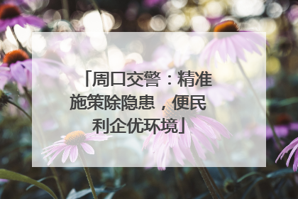 周口交警：精准施策除隐患，便民利企优环境