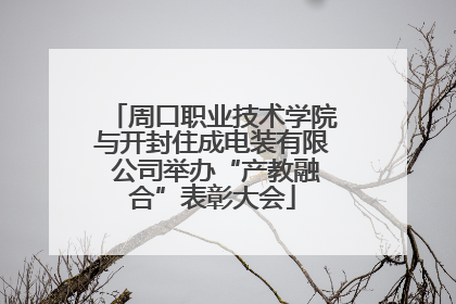 周口职业技术学院与开封住成电装有限 公司举办“产教融合”表彰大会