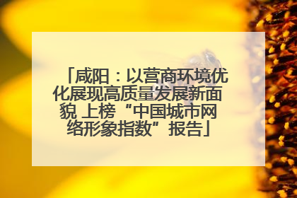咸阳：以营商环境优化展现高质量发展新面貌 上榜“中国城市网络形象指数”报告