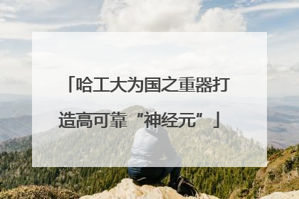 哈工大为国之重器打造高可靠“神经元”
