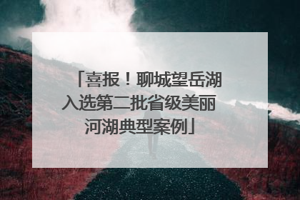 喜报！聊城望岳湖入选第二批省级美丽河湖典型案例