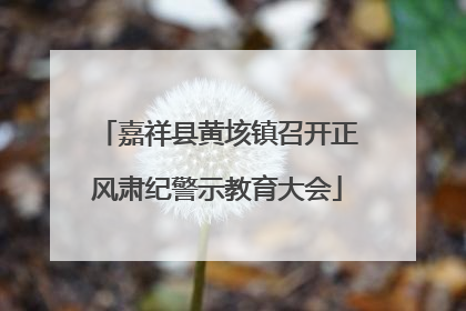 嘉祥县黄垓镇召开正风肃纪警示教育大会