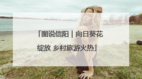 图说信阳｜向日葵花绽放 乡村旅游火热