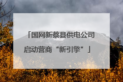 国网新蔡县供电公司启动营商“新引擎”