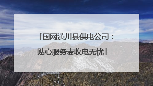 国网潢川县供电公司：贴心服务麦收电无忧