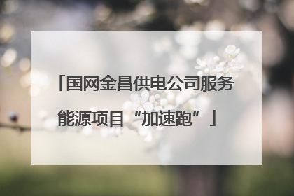 国网金昌供电公司服务能源项目“加速跑”