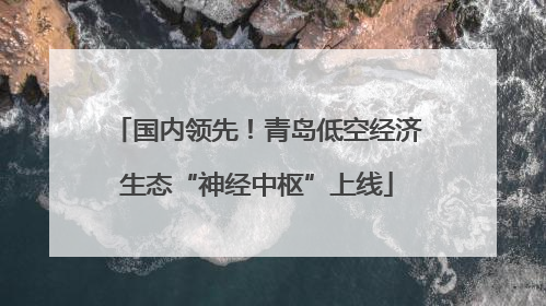 国内领先！青岛低空经济生态“神经中枢”上线
