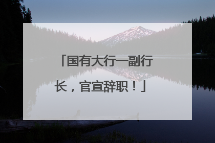 国有大行一副行长，官宣辞职！
