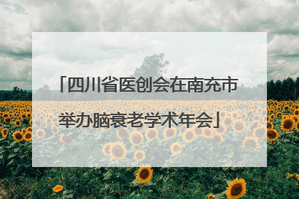 四川省医创会在南充市举办脑衰老学术年会