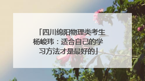 四川绵阳物理类考生杨峻玮：适合自己的学习方法才是最好的