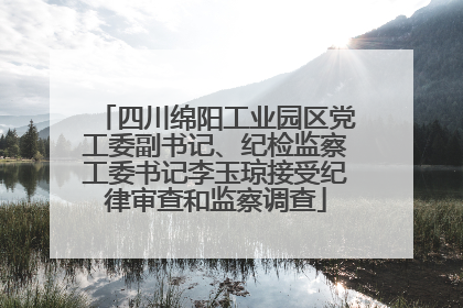 四川绵阳工业园区党工委副书记、纪检监察工委书记李玉琼接受纪律审查和监察调查