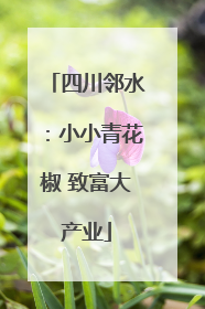四川邻水：小小青花椒 致富大产业
