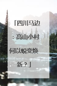 四川马边：高山小村何以蜕变焕新？