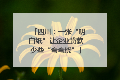 四川：一张“明白纸”让企业贷款少些“弯弯绕”
