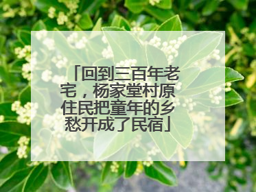 回到三百年老宅，杨家堂村原住民把童年的乡愁开成了民宿