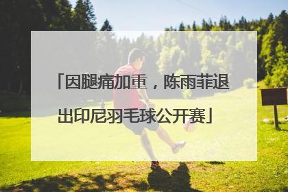 因腿痛加重，陈雨菲退出印尼羽毛球公开赛