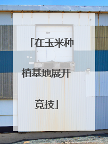 在玉米种植基地展开竞技