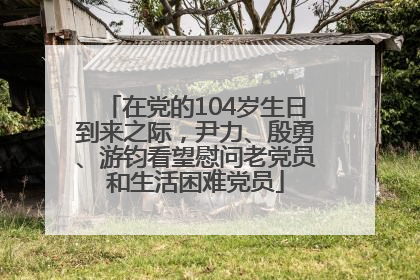 在党的104岁生日到来之际，尹力、殷勇、游钧看望慰问老党员和生活困难党员