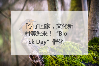 学子回家，文化新村等您来！“Block Day”催化学院式街区新生态