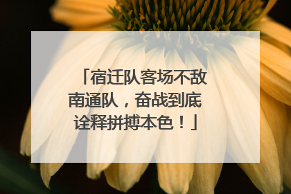 宿迁队客场不敌南通队，奋战到底诠释拼搏本色！