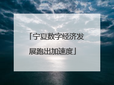 宁夏数字经济发展跑出加速度