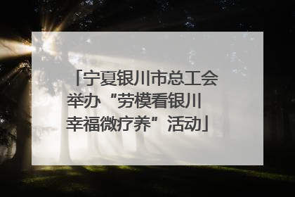 宁夏银川市总工会举办“劳模看银川 幸福微疗养”活动