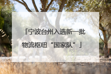 宁波台州入选新一批物流枢纽“国家队”