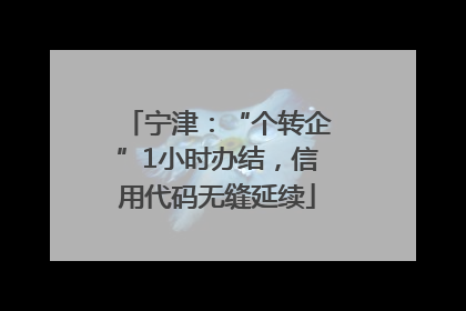 宁津：“个转企”1小时办结，信用代码无缝延续